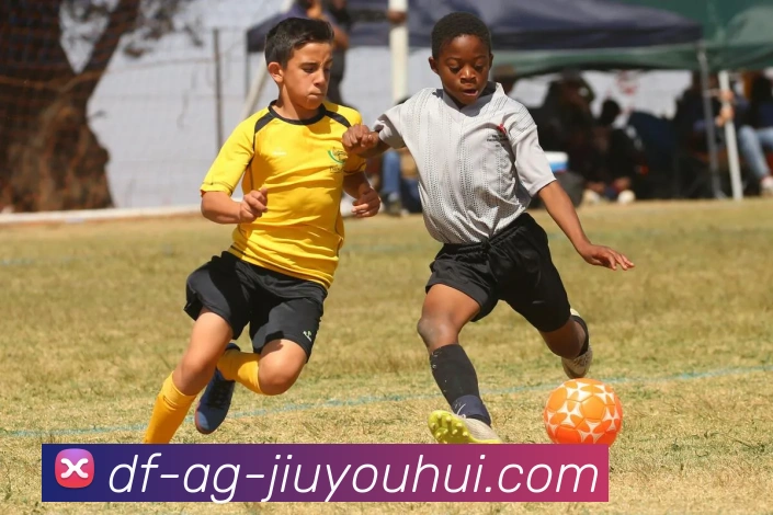 AG九游会官网平台生态图